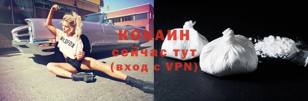 винт Касимов