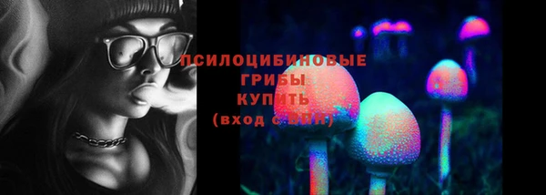 2c-b Карпинск