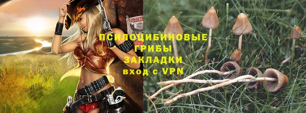 2c-b Карпинск