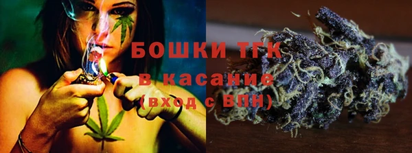 винт Касимов