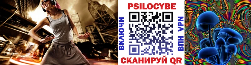 Купить  Великие Луки  Псилоцибиновые грибы MAGIC MUSHROOMS 